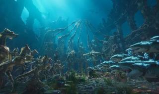 奥斯卡国际影城影讯