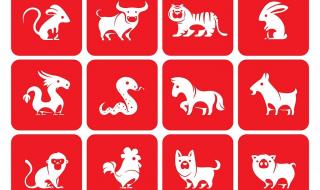 立冬吃饺子的顺口溜 立冬吃饺子的顺口溜