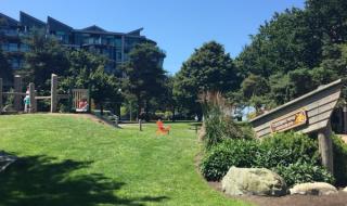 心中的花园歌词 心中的花园歌词