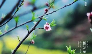 二月打雷是什么征兆 二月打雷是什么征兆