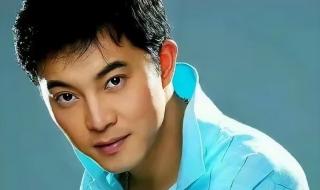 岁月象把杀猪刀 岁月象把杀猪刀