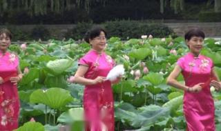 郑州四十七中分校