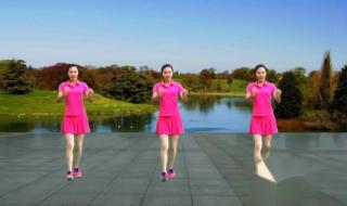 广场舞自由飞翔24步