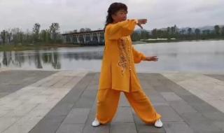 四十二式太极拳 四十二式太极拳