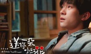 小红花图片 小红花图片