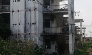 附近临时工500元一天