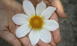 相爱天地间 相爱天地间