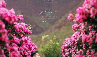 恋爱从告白开始全集 恋爱从告白开始全集