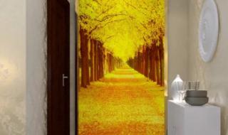 3d墙地立体画 3d墙地立体画