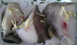 什么鱼被称为软黄金