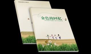 金色的草地教学设计