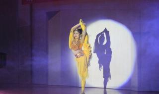 舞蹈艺考培训班 舞蹈艺考培训班