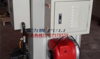 小型蒸汽发生器 小型蒸汽发生器