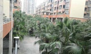 东莞海悦花园大酒店