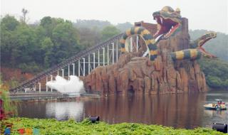 重庆动物园 重庆动物园