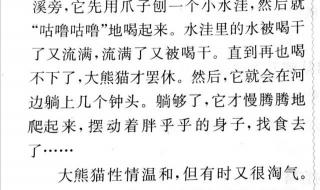 熊猫的作文 熊猫的作文