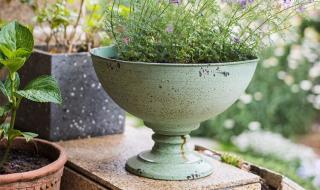 tiffany价钱 tiffany价钱