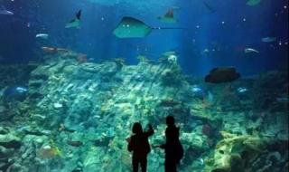 深圳小梅沙门票