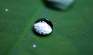 尼康d800配什么镜头