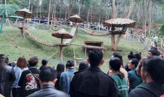 森林生态旅游与康养 森林生态旅游与康养