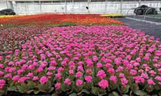 新技术新工艺 新技术新工艺