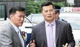 最新反腐倡廉电视剧 最新反腐倡廉电视剧