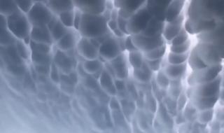 乳状云是什么的预兆