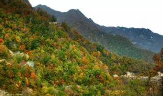 太平国家森林公园 太平国家森林公园