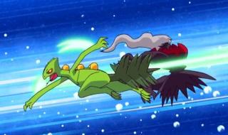 神奇宝贝之城都联盟 神奇宝贝之城都联盟