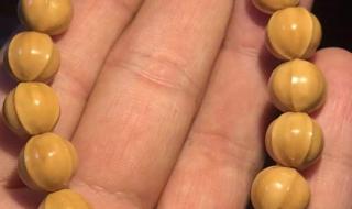 世界上最漂亮的鲨鱼 世界上最漂亮的鲨鱼