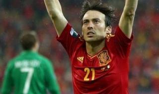 西班牙欧洲杯夺冠阵容 西班牙欧洲杯夺冠阵容