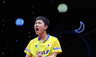 2019乒乓球男子世界杯 2019乒乓球男子世界杯