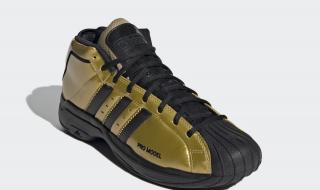 全明星2020完整版中文